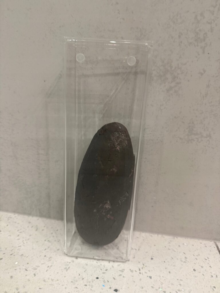 17880731538_1.jpg 17880731538