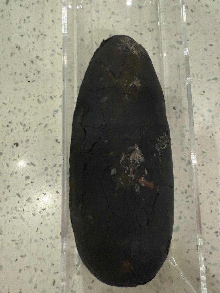 17880731538_2.jpg 17880731538