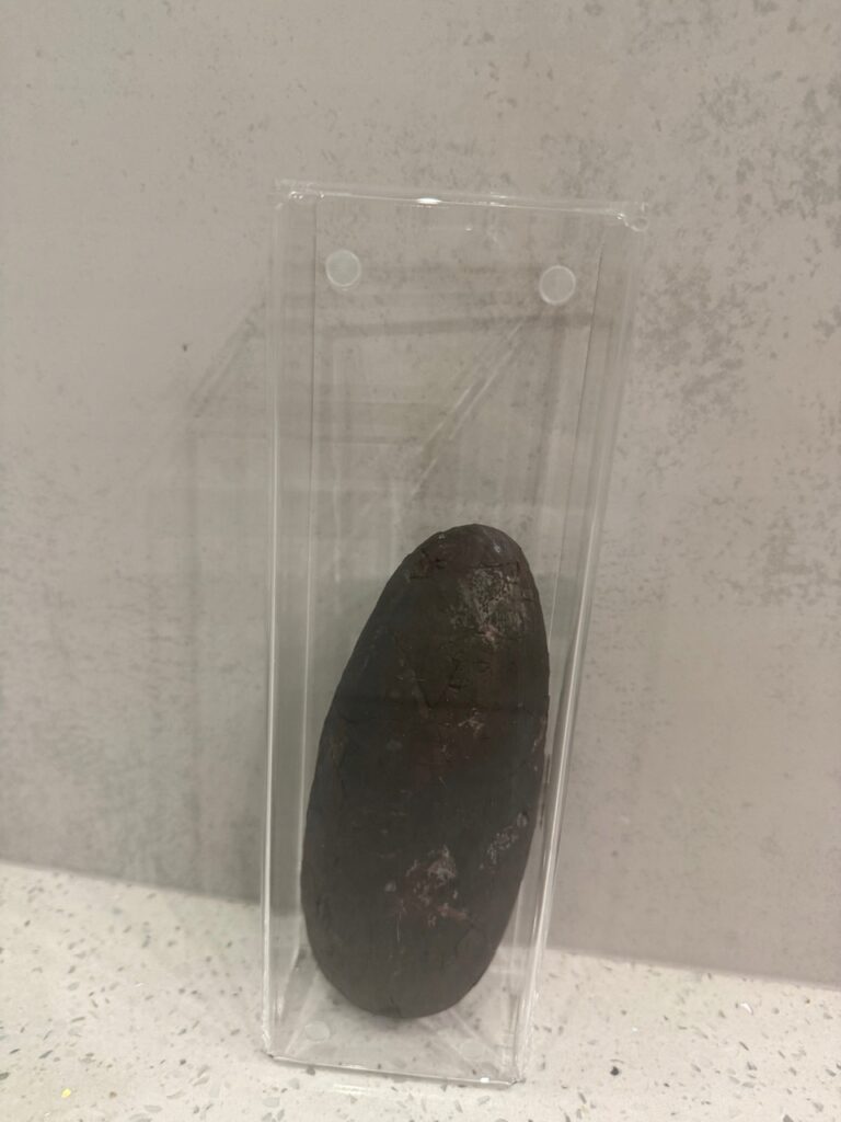 17880731538_3.jpg 17880731538