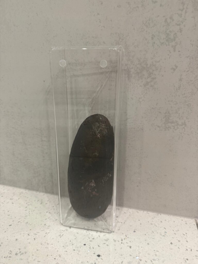 17880731538_4.jpg 17880731538