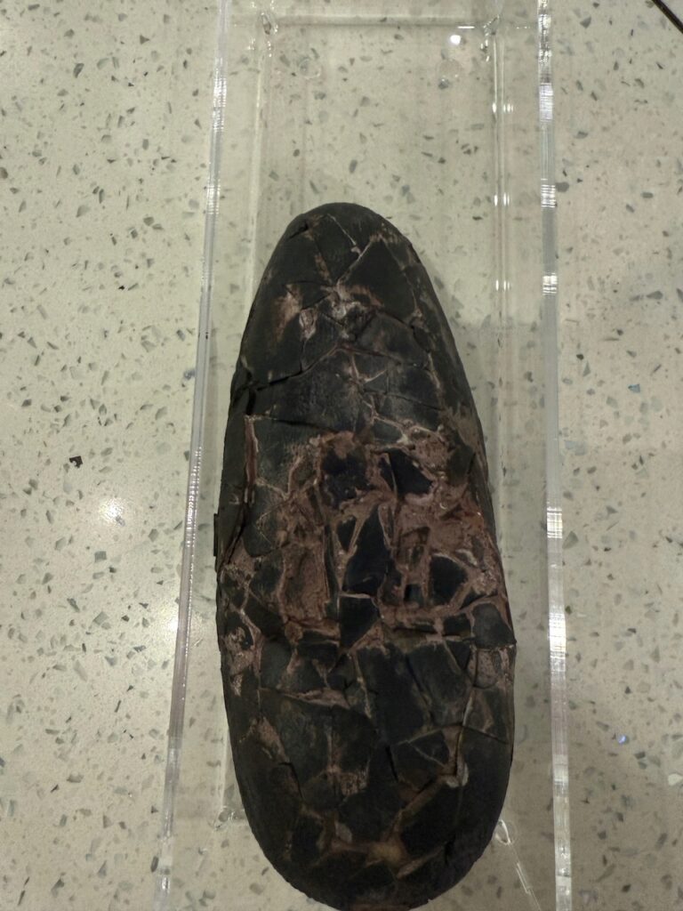 17880731538_5.jpg 17880731538