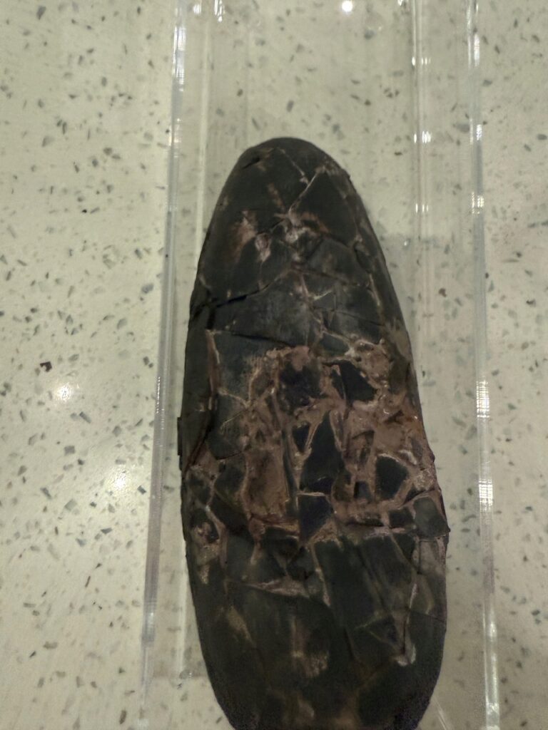 17880731538_6.jpg 17880731538