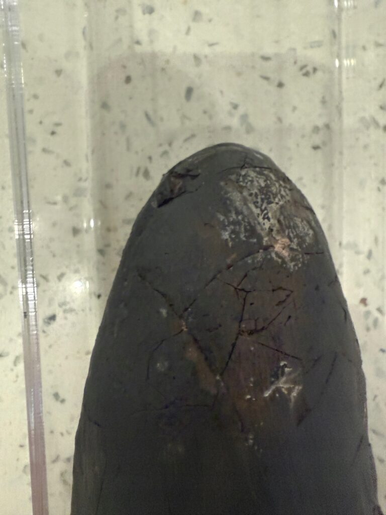 17880731538_8.jpg 17880731538