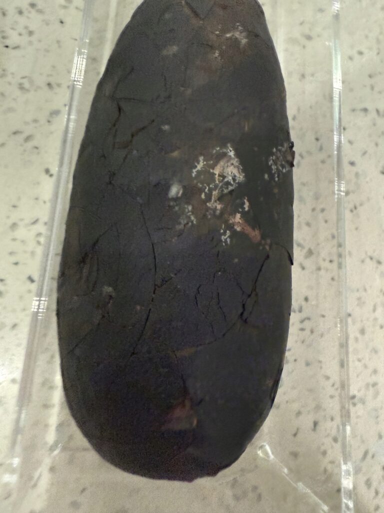 17880731538_9.jpg 17880731538