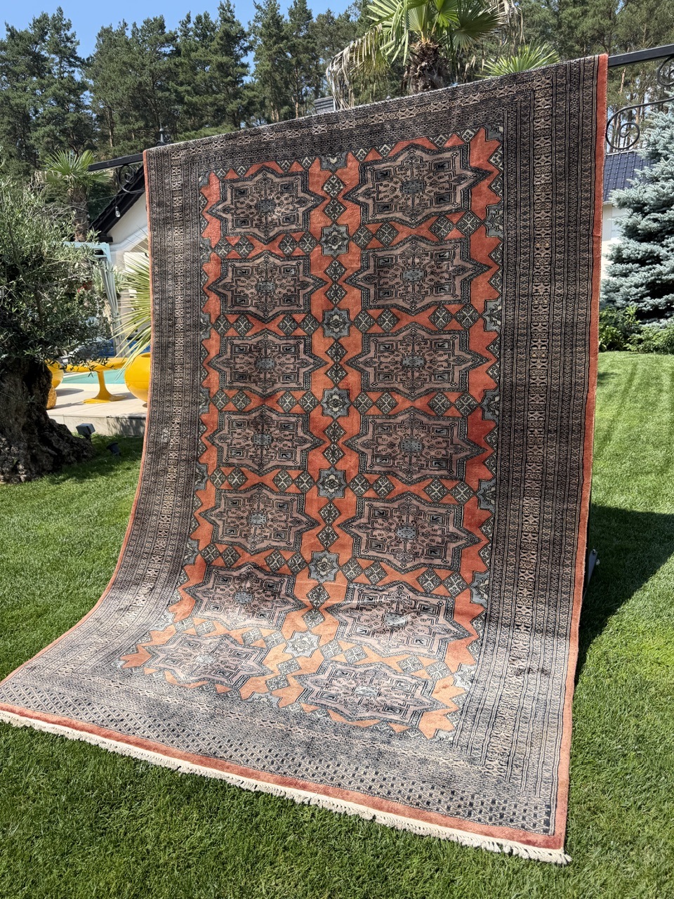 18898077529