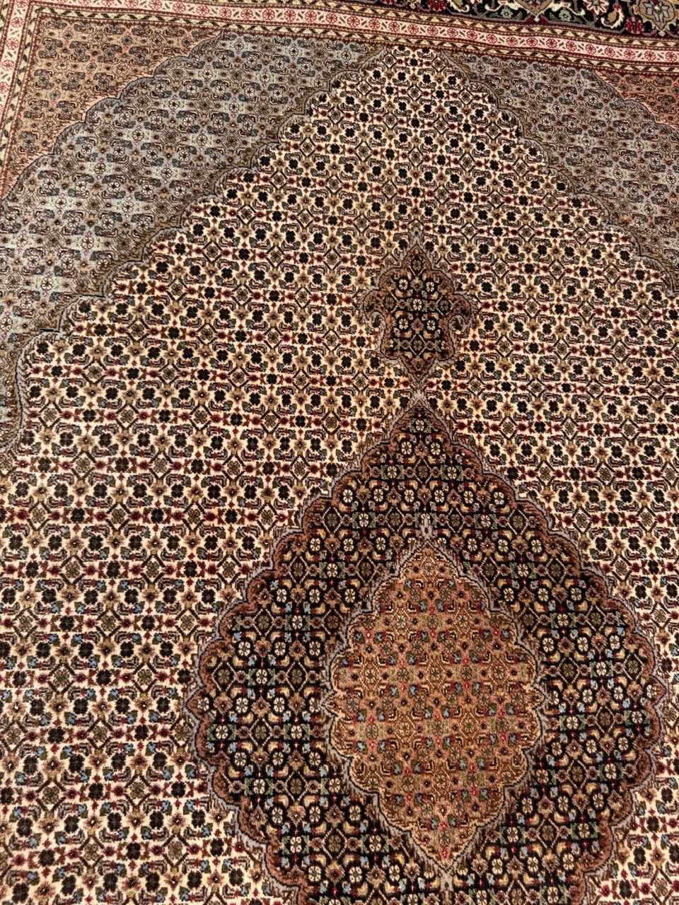 18969519198
