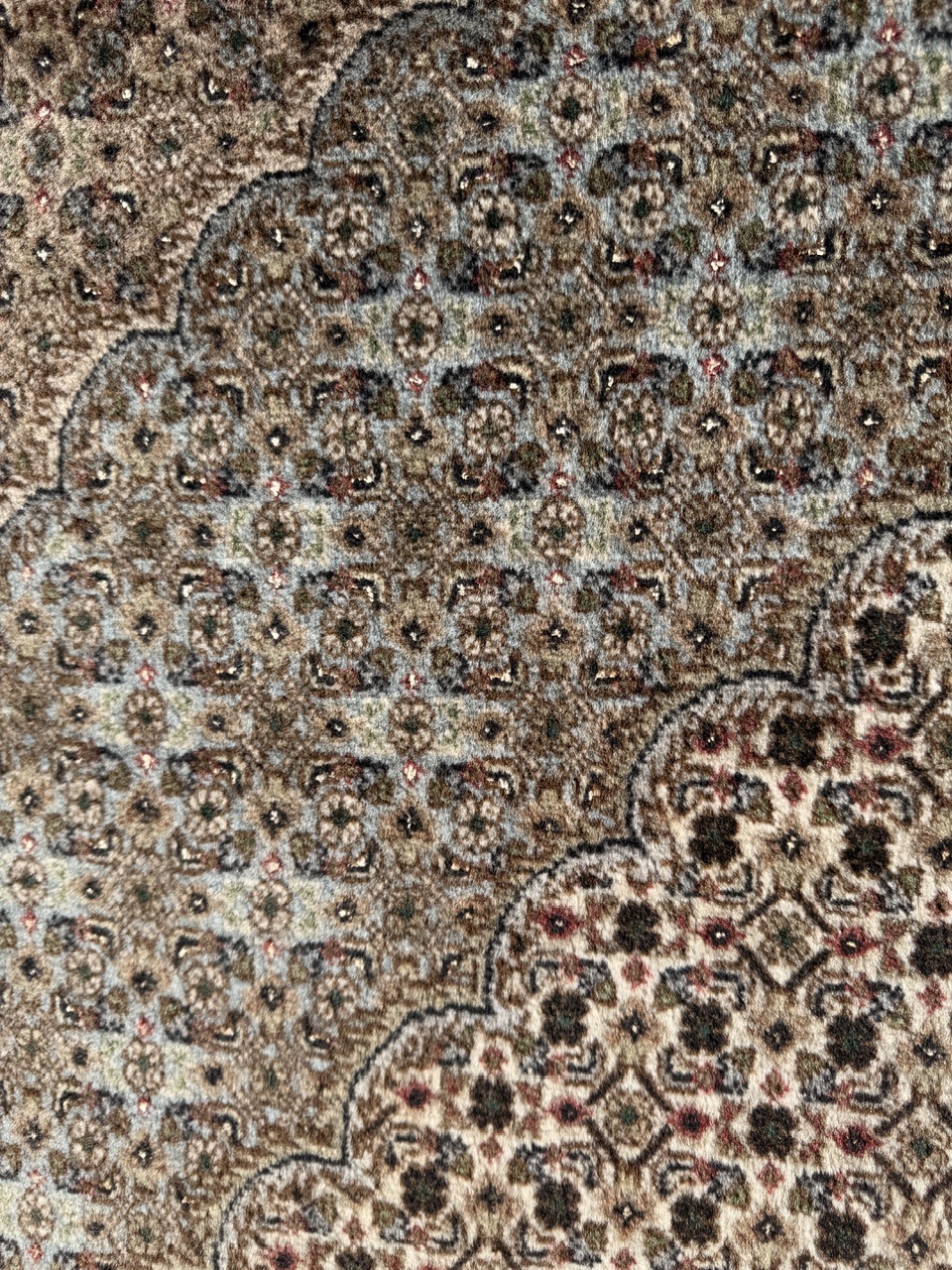 18969519198