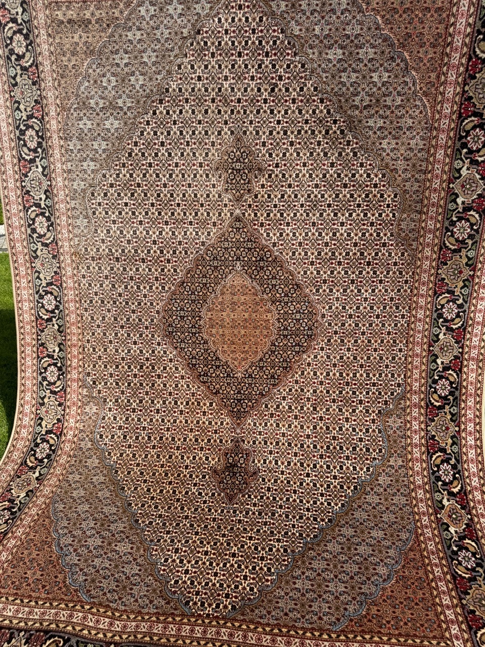 18969519198