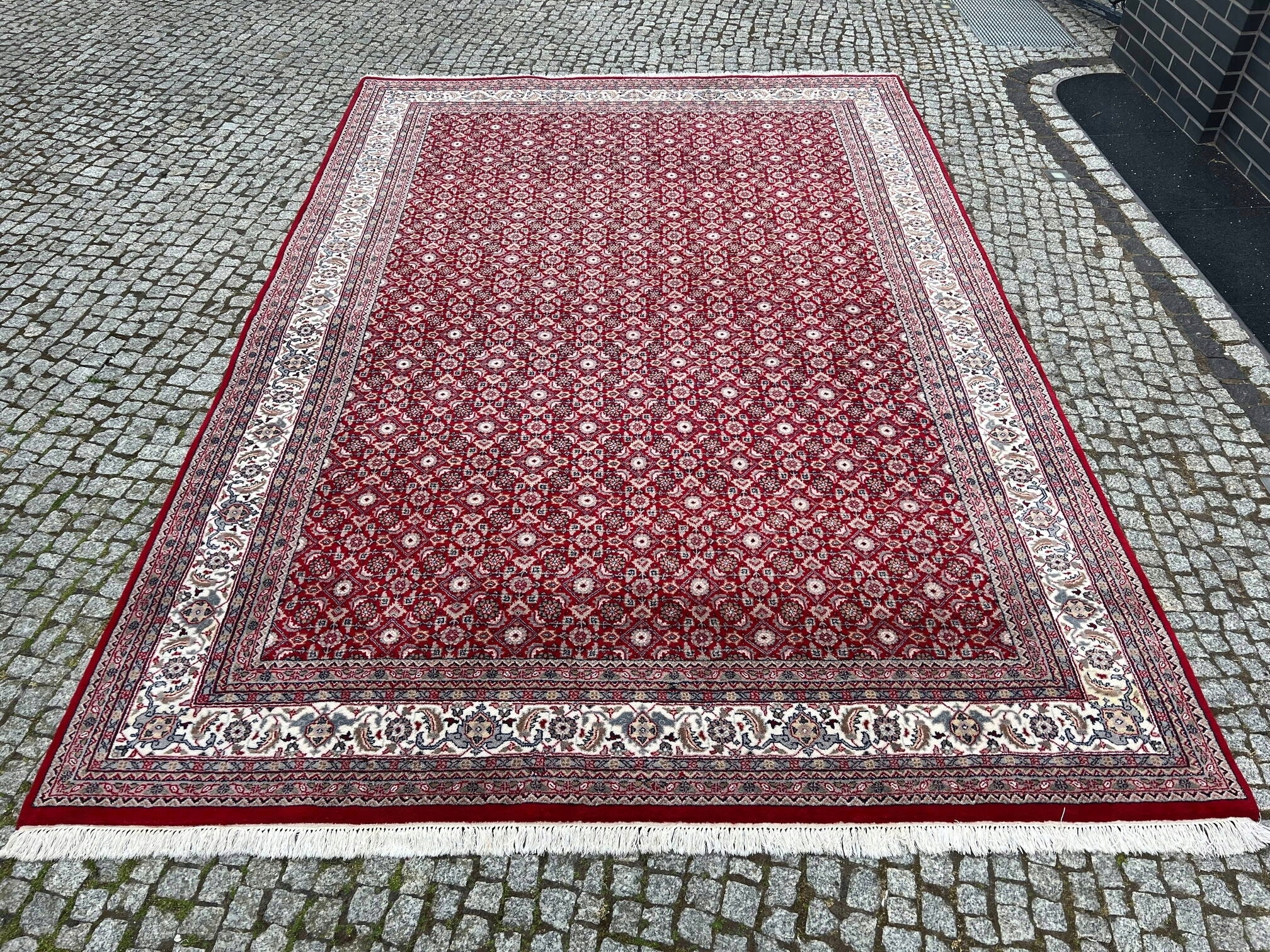 12248667954
