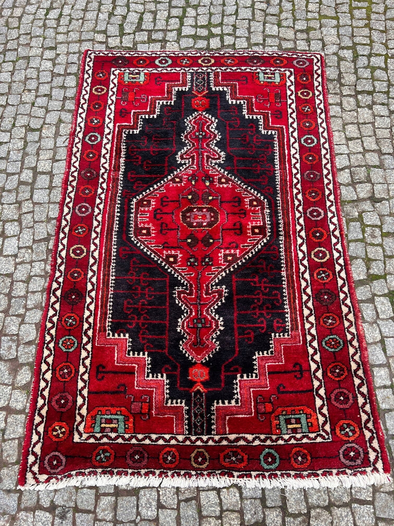 13046405079