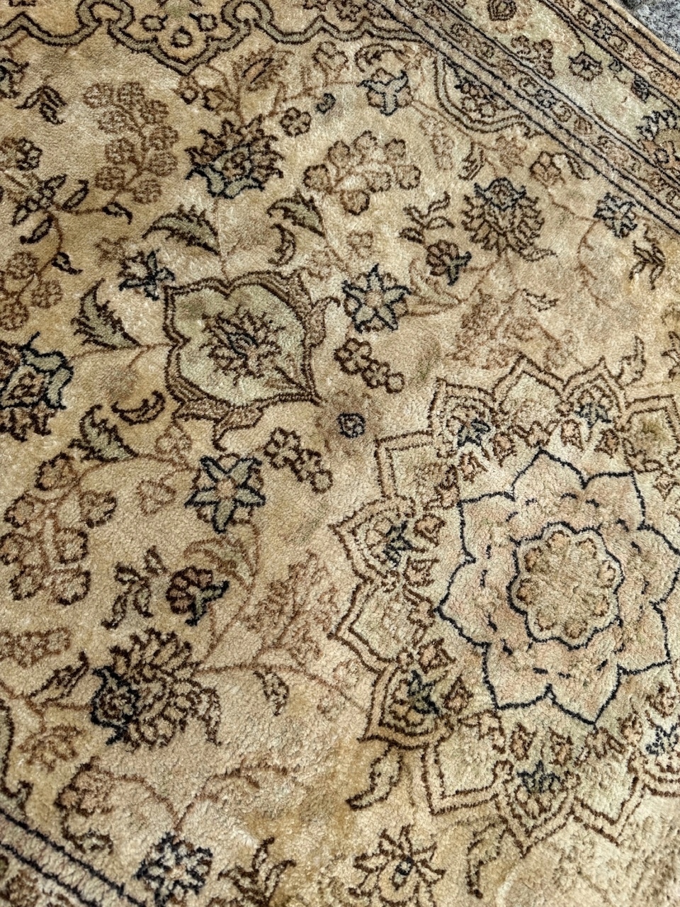 16481267749