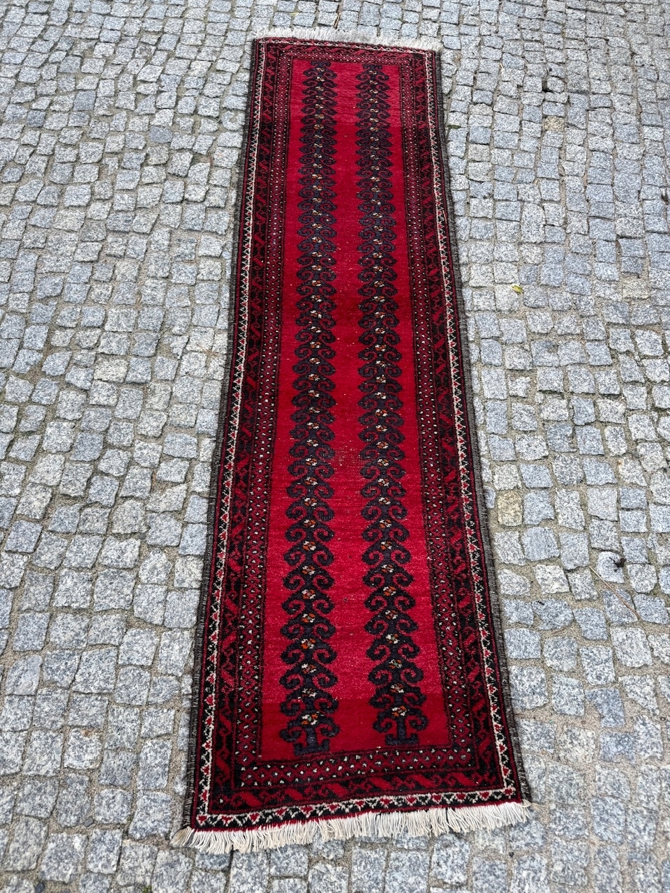 16970897051
