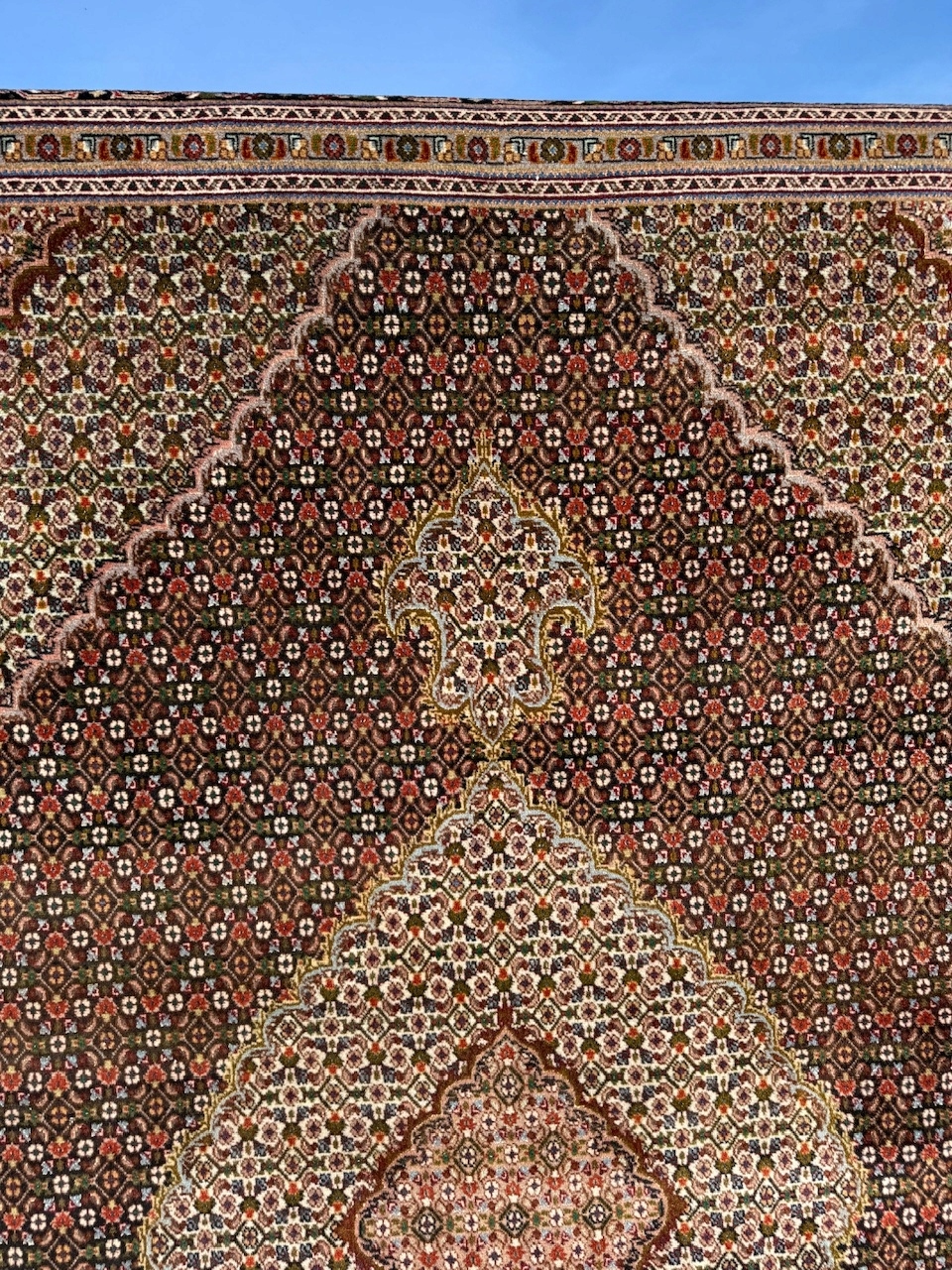 17313016481