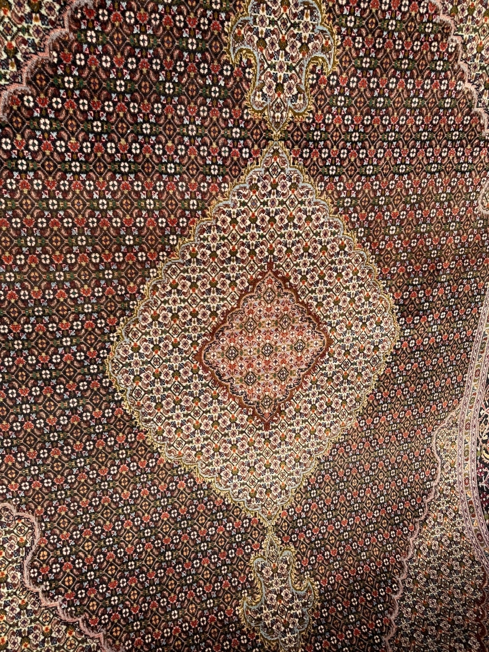 17313016481