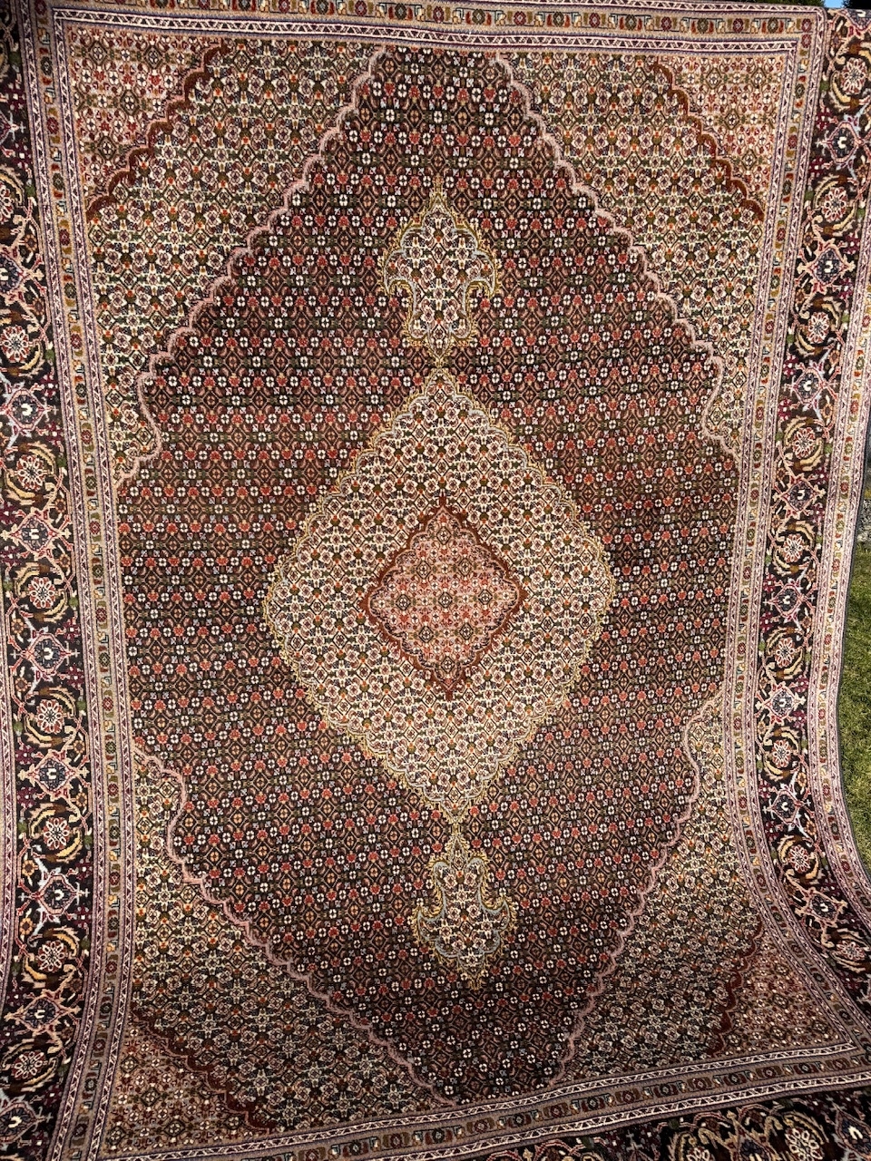 17313016481