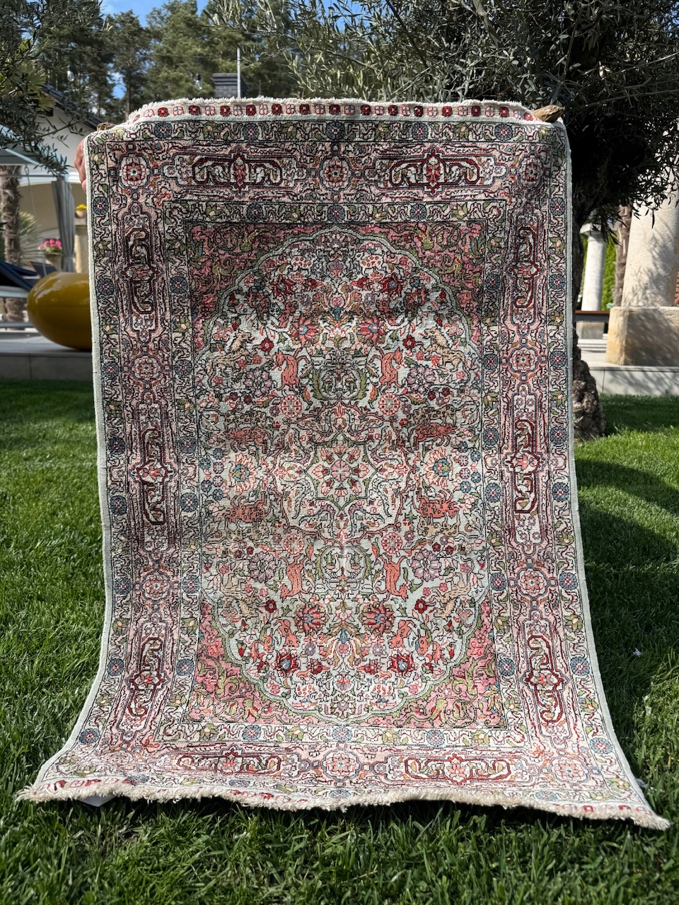 17753887554