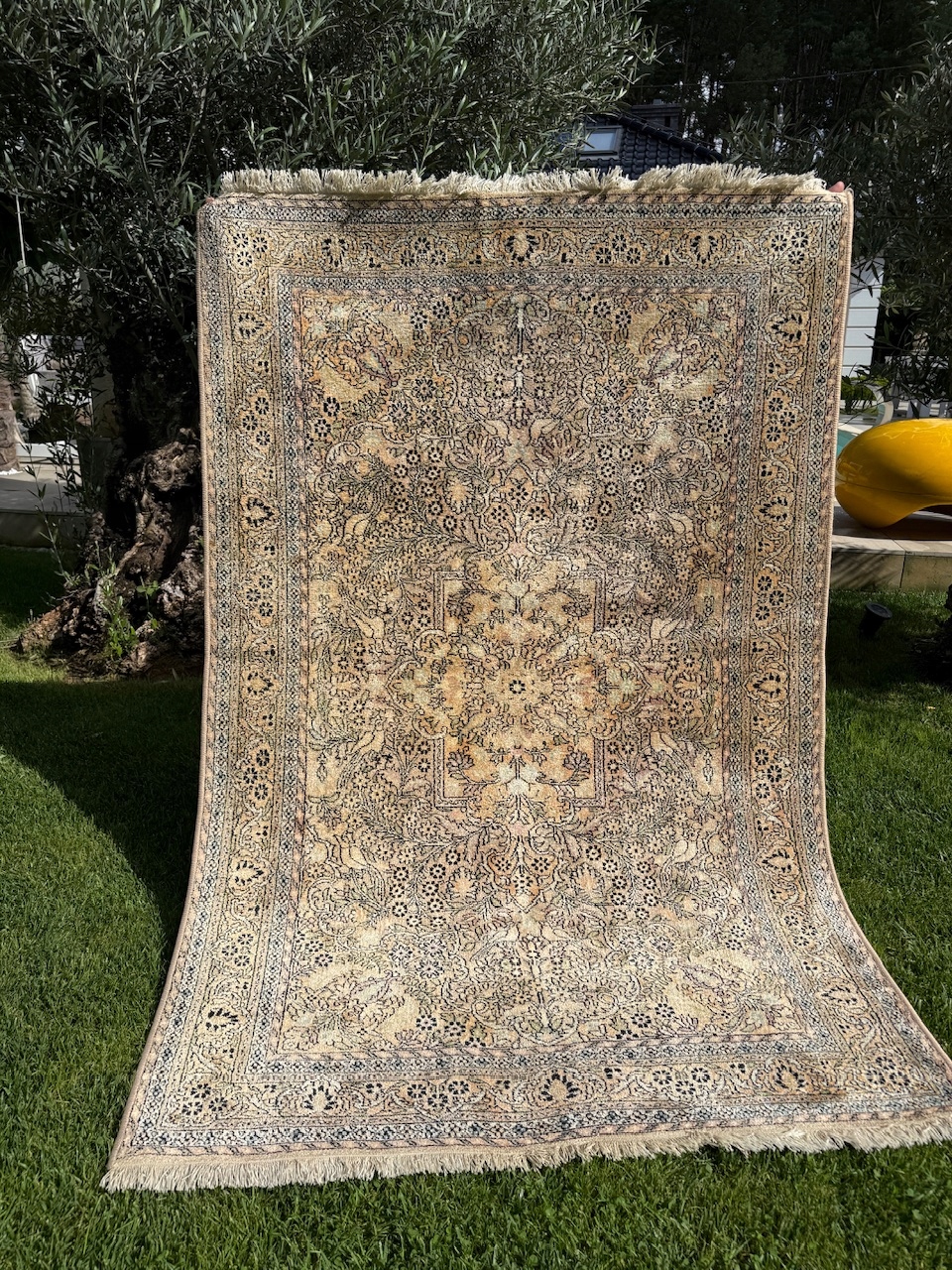 17895580179