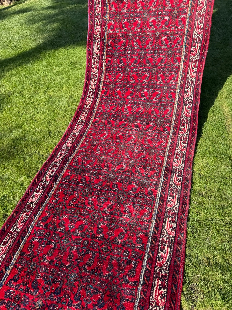 18098255462