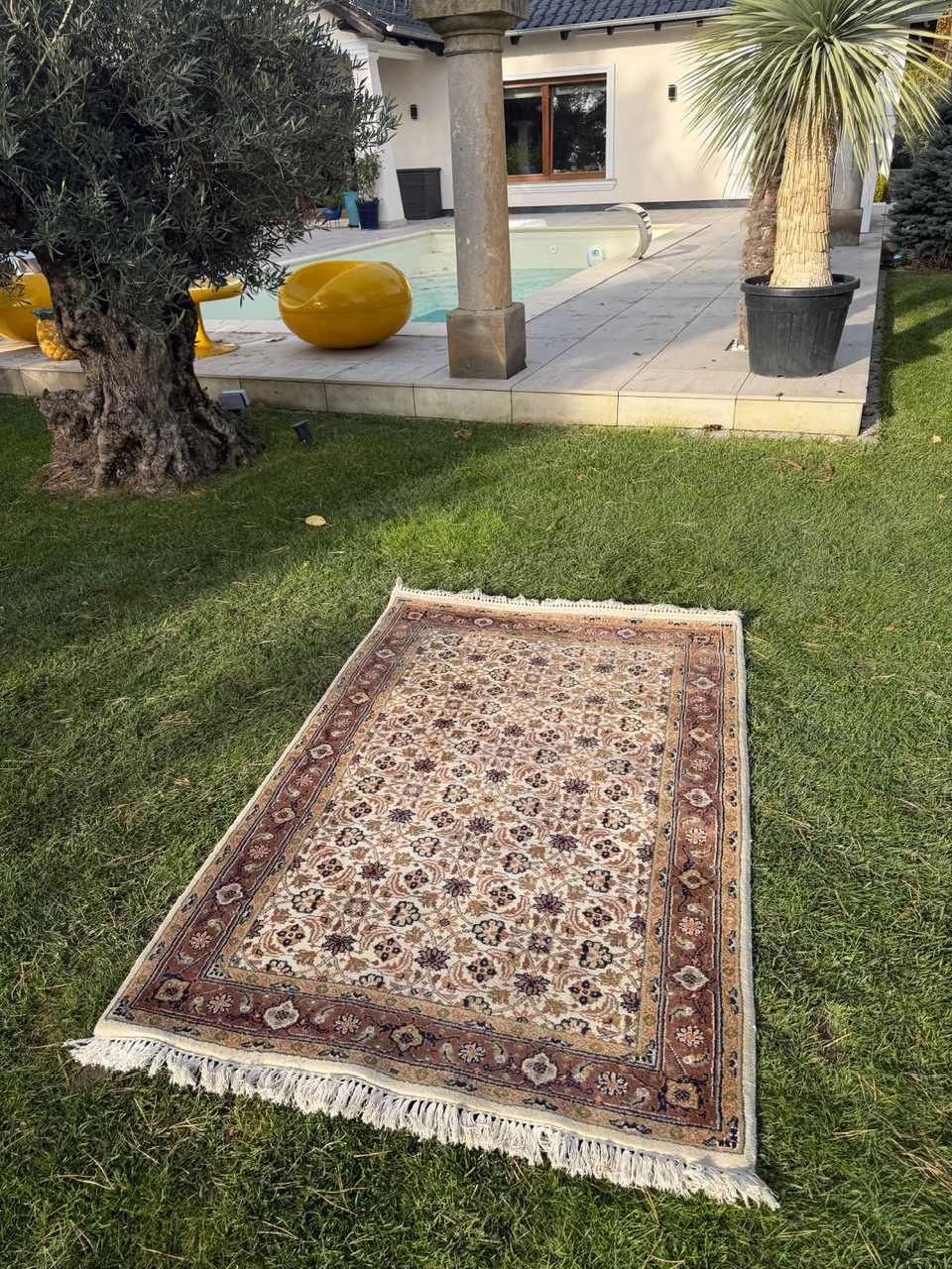 18172646009