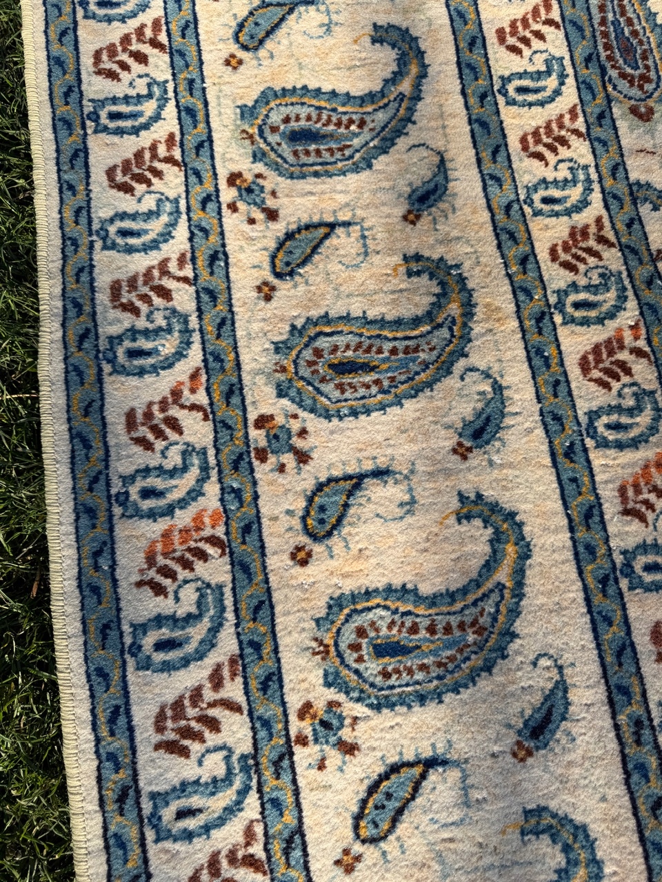 18173639164