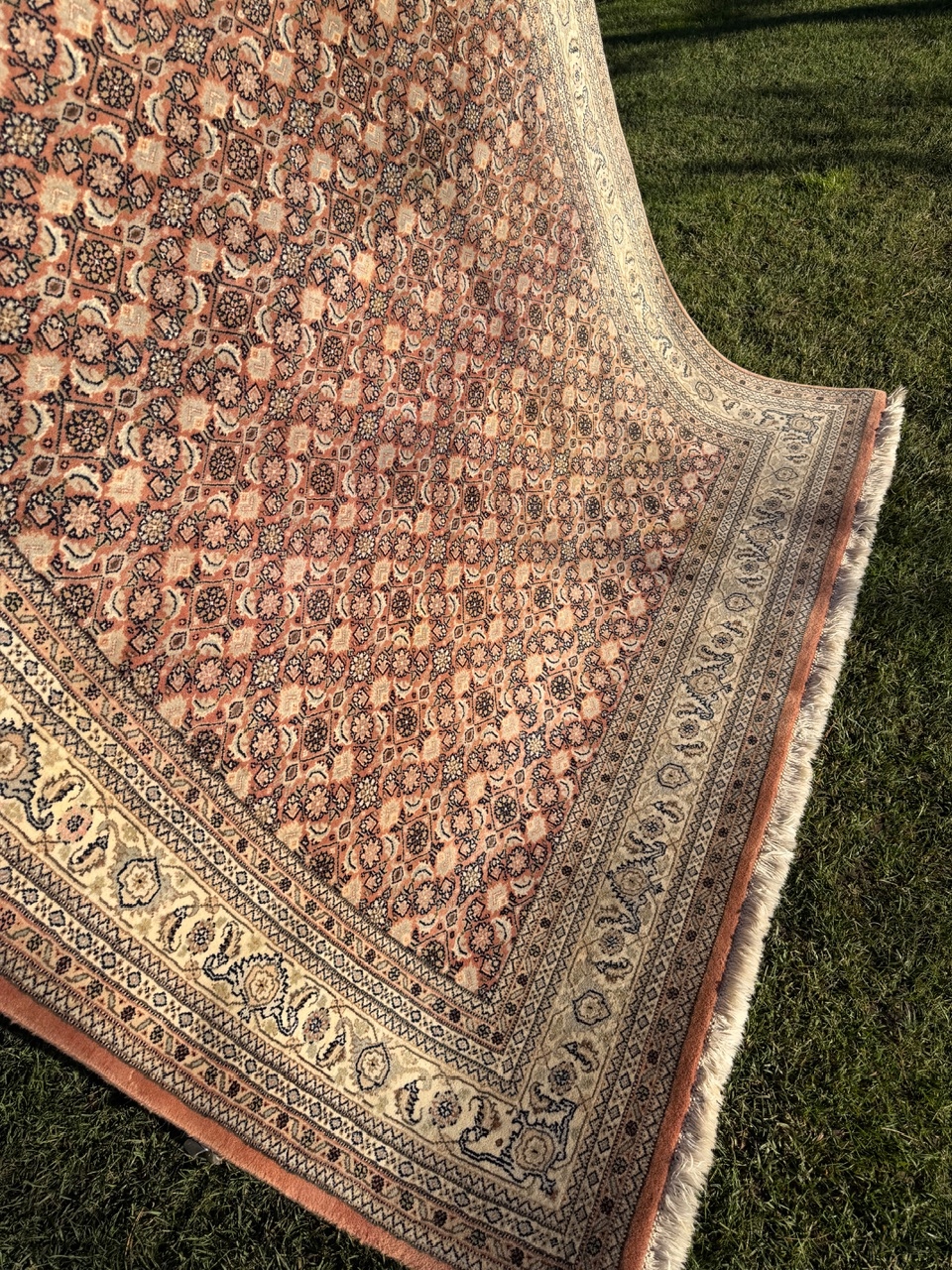 18220995243