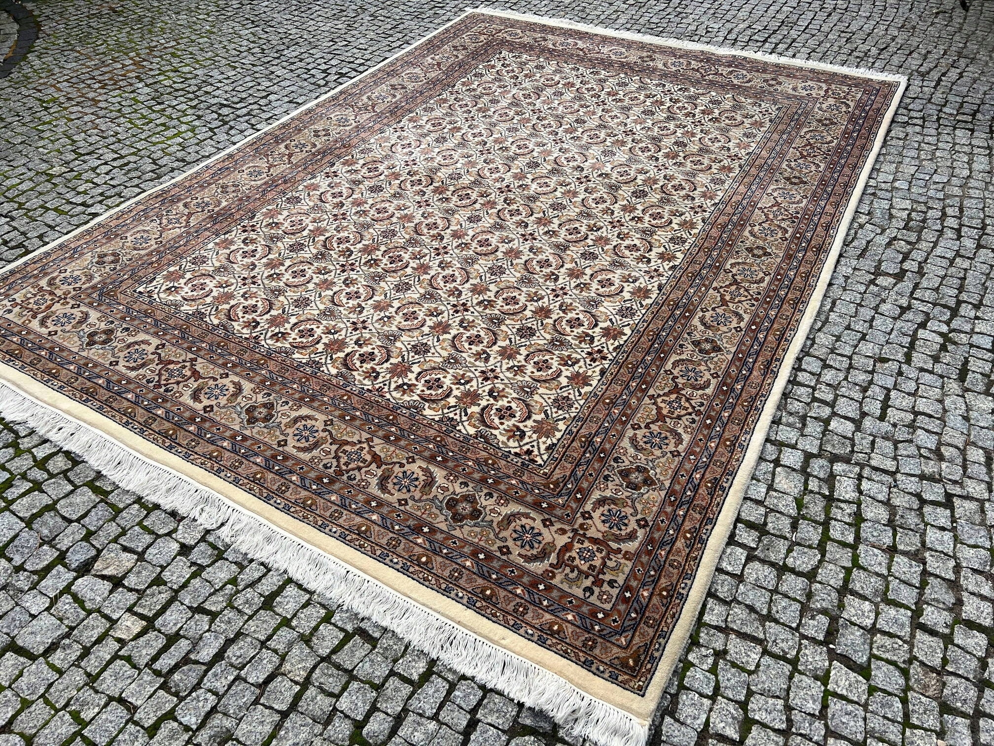 18236265769