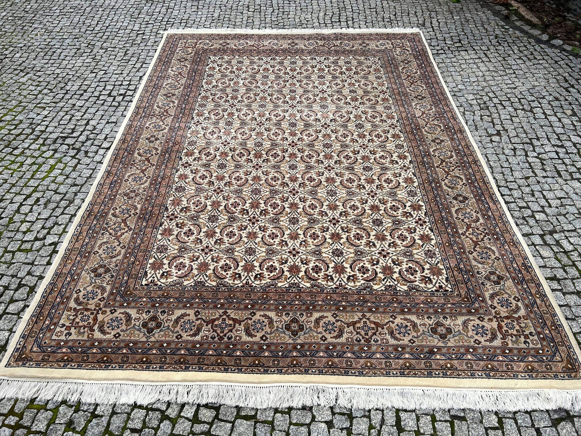 18236265769