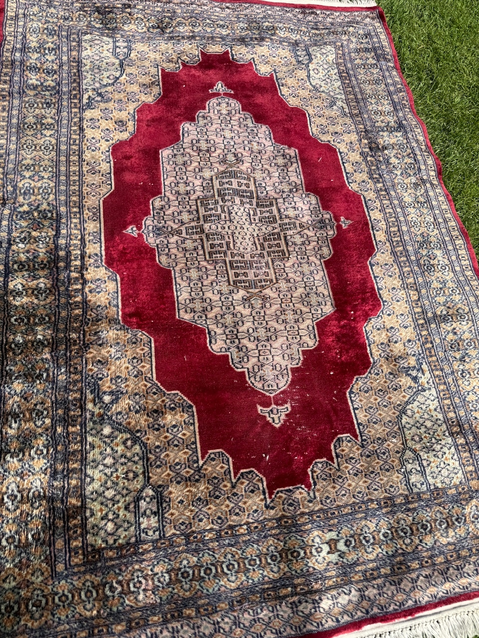 18254946972