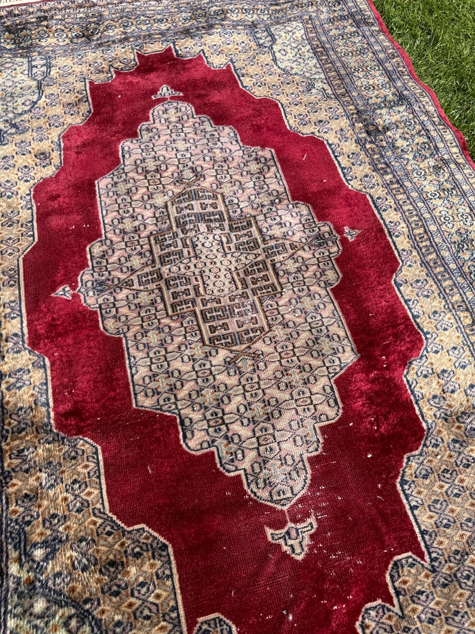 18254946972