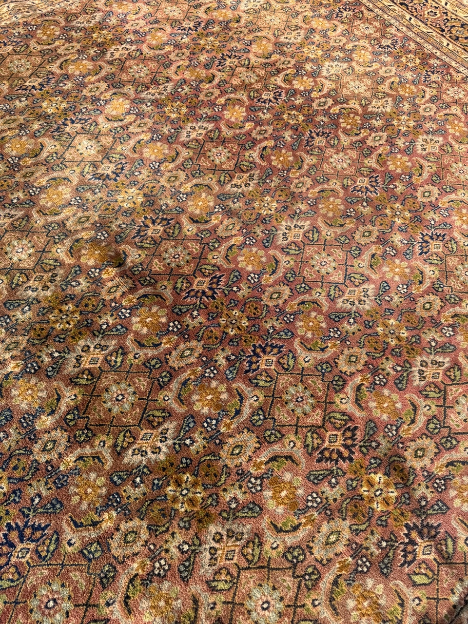 18293602320
