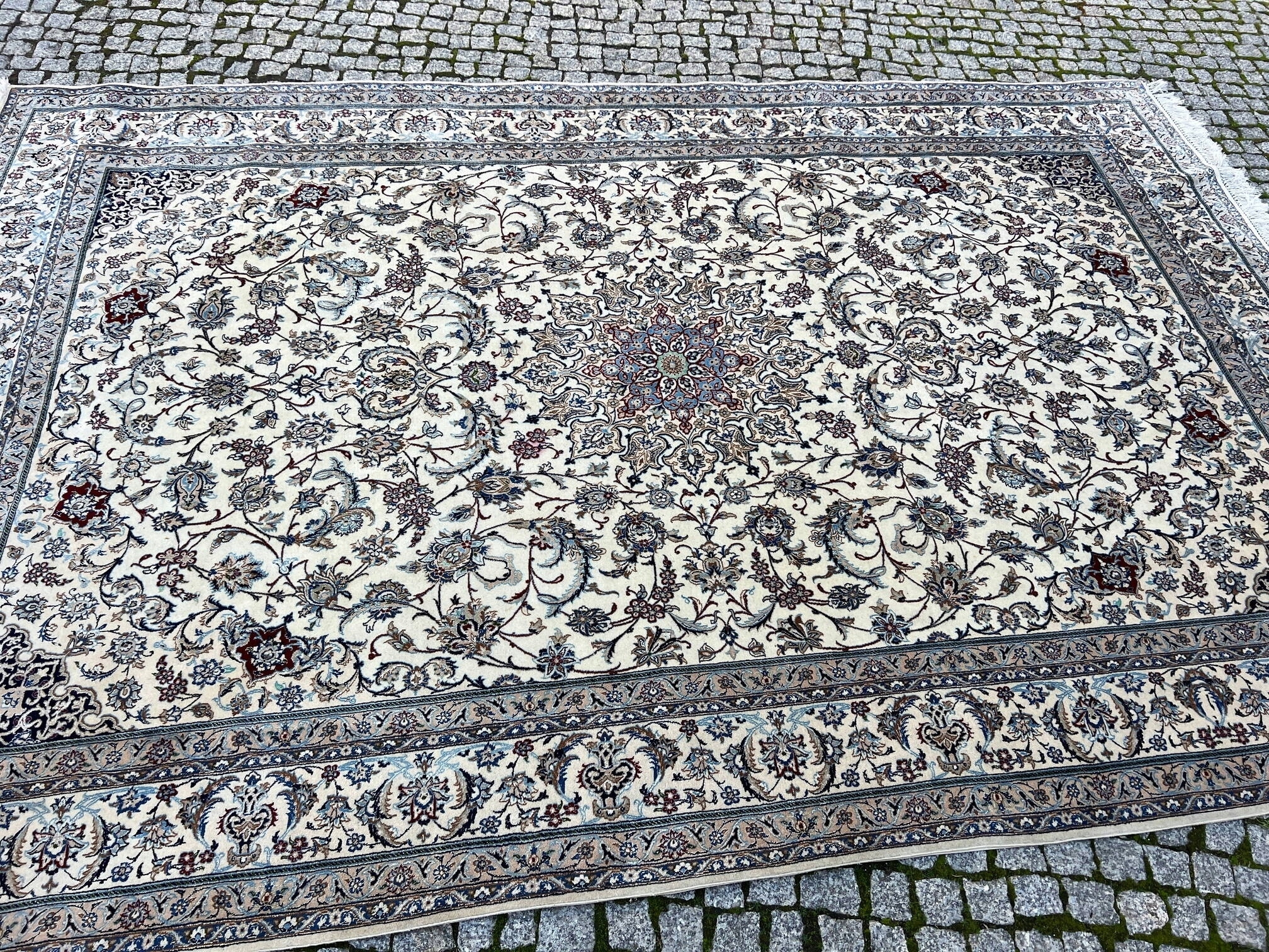 18310941616
