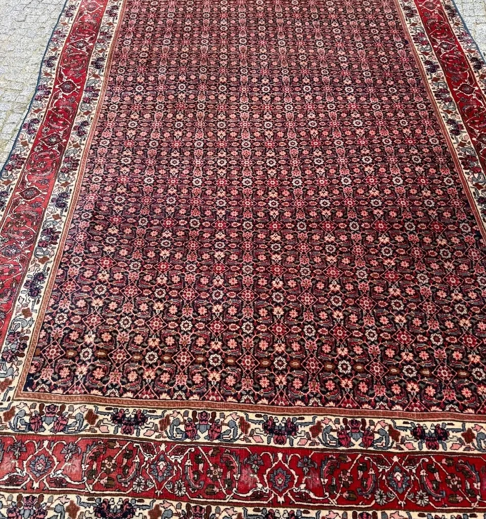 18550323491