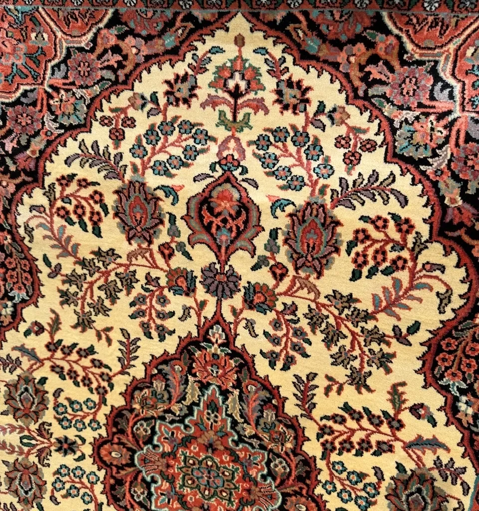 18558648564