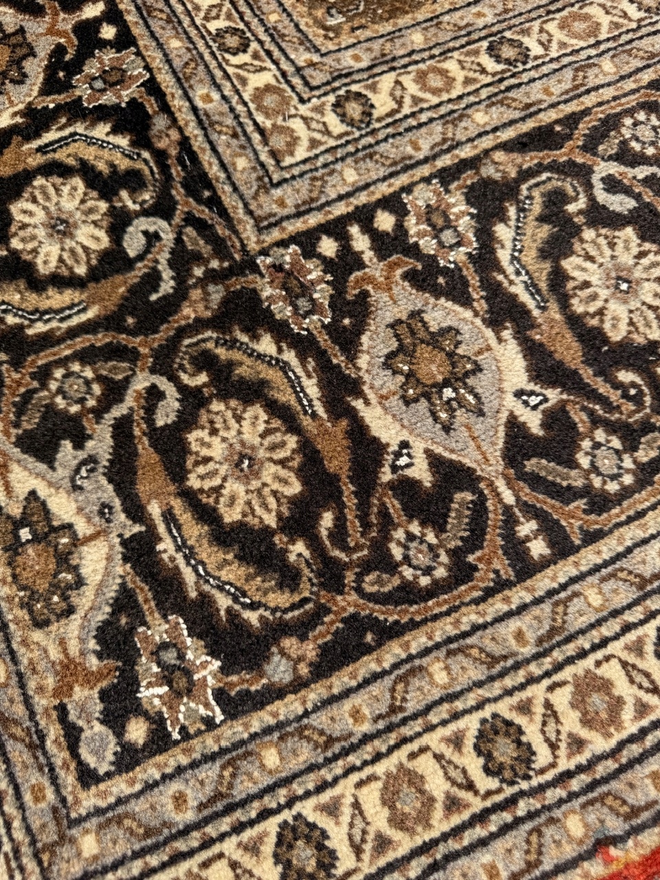 18541795899