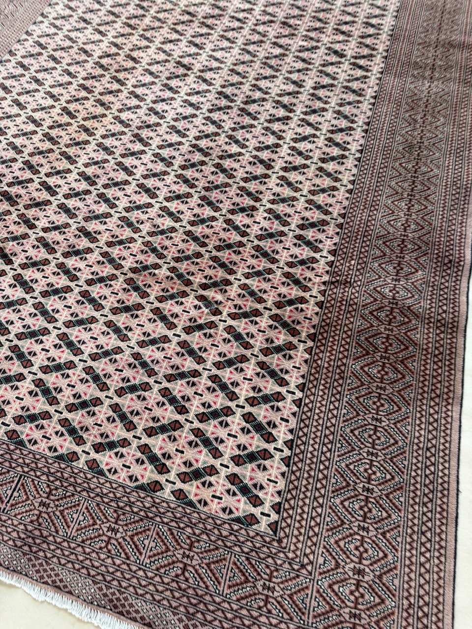 18630018196