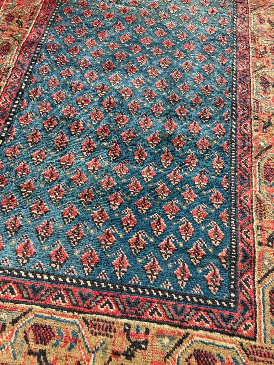 18802181634