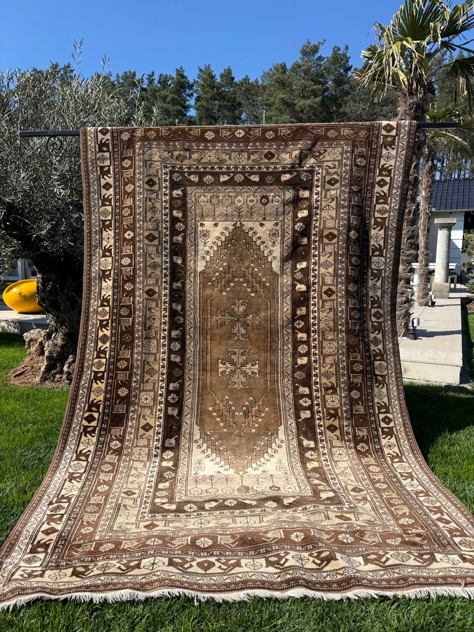 18802649753
