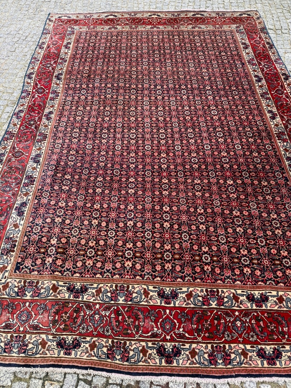 18550323491
