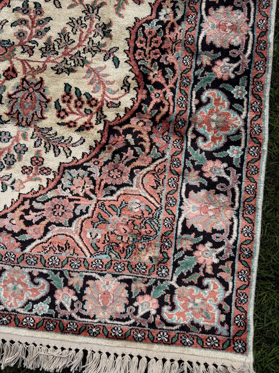 18558648564