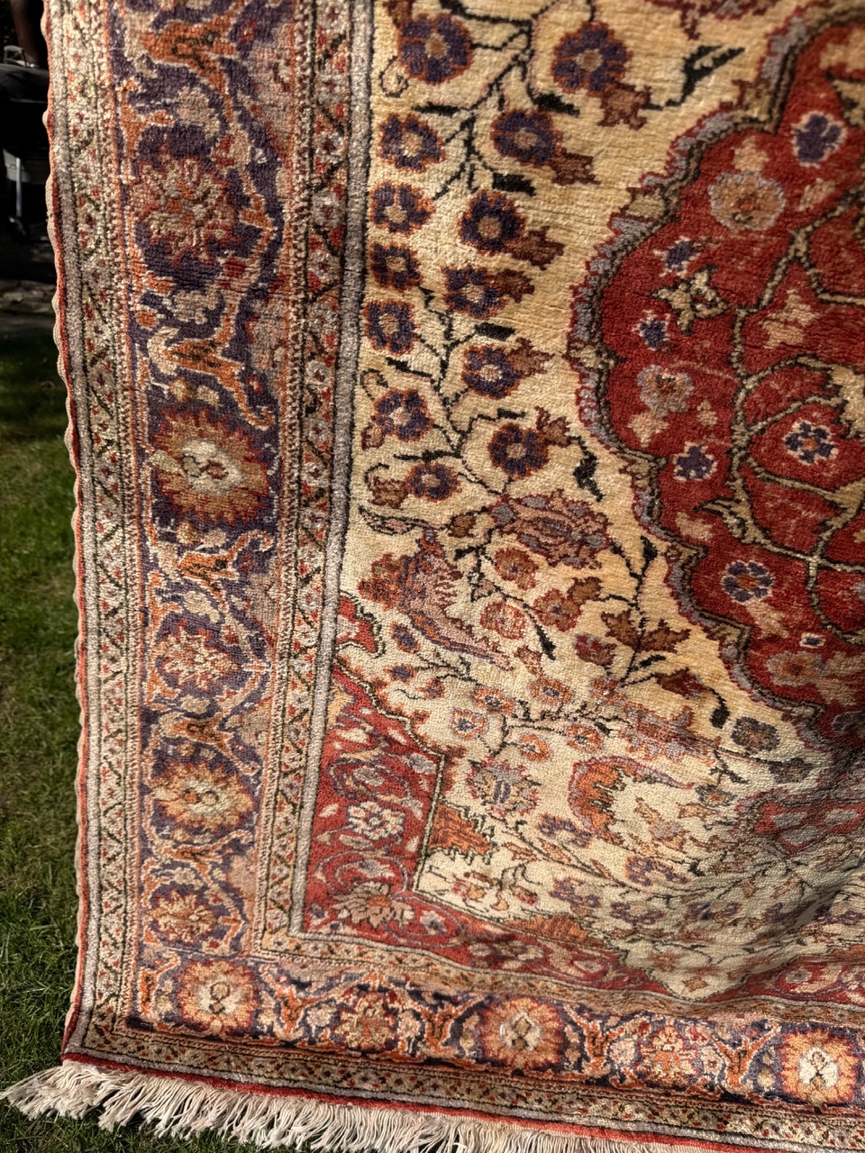 18558821933
