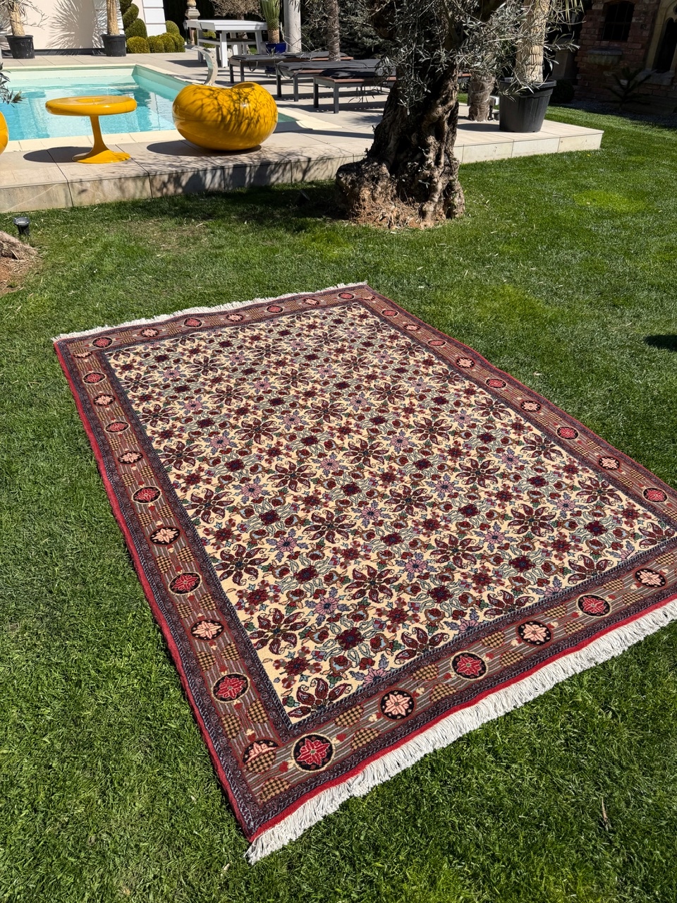 18567118132