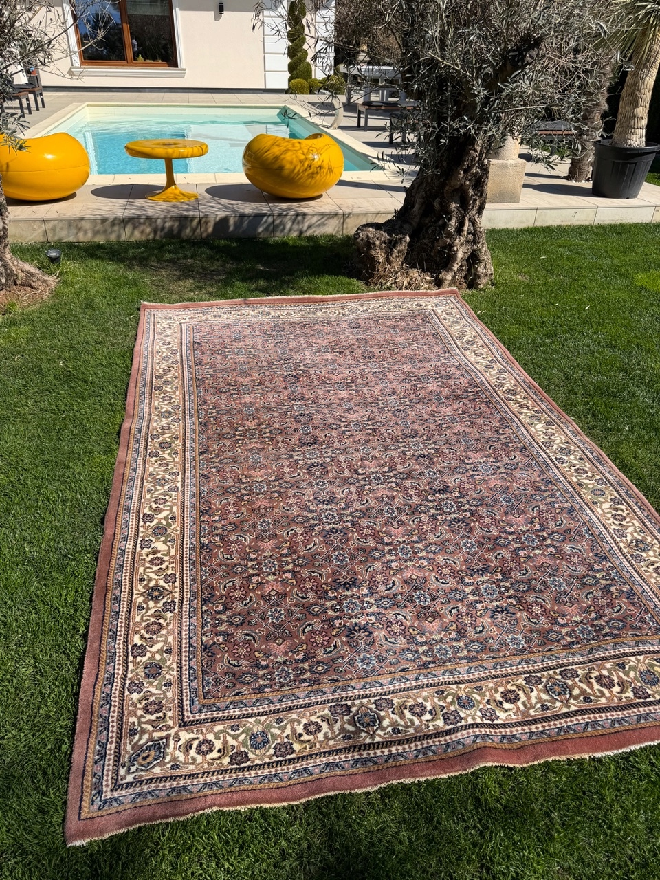 18567996344