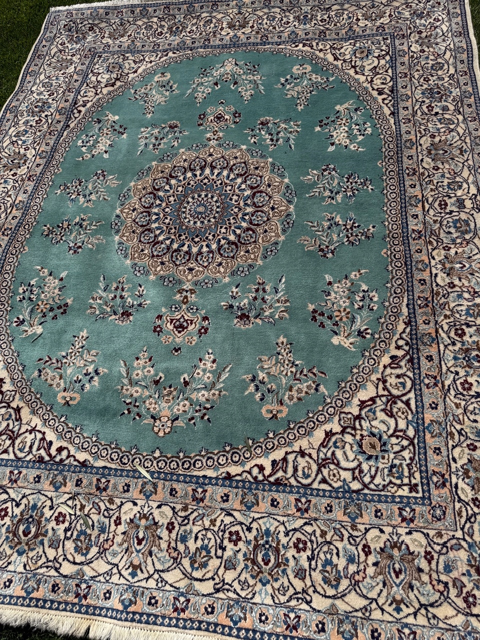 18595481220