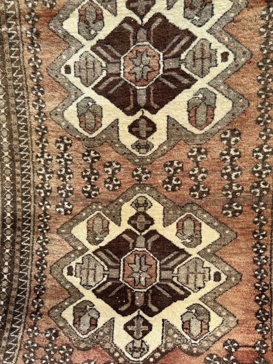 18600568294