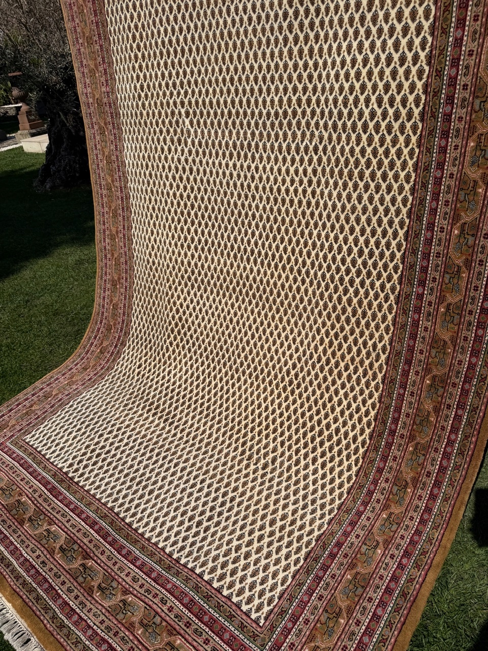 18682439805