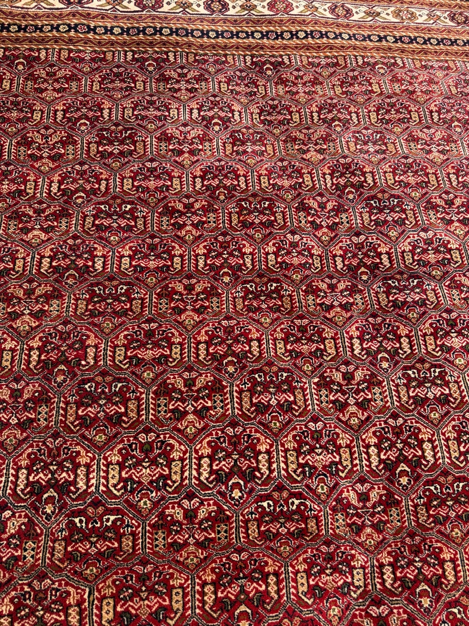 18686632460