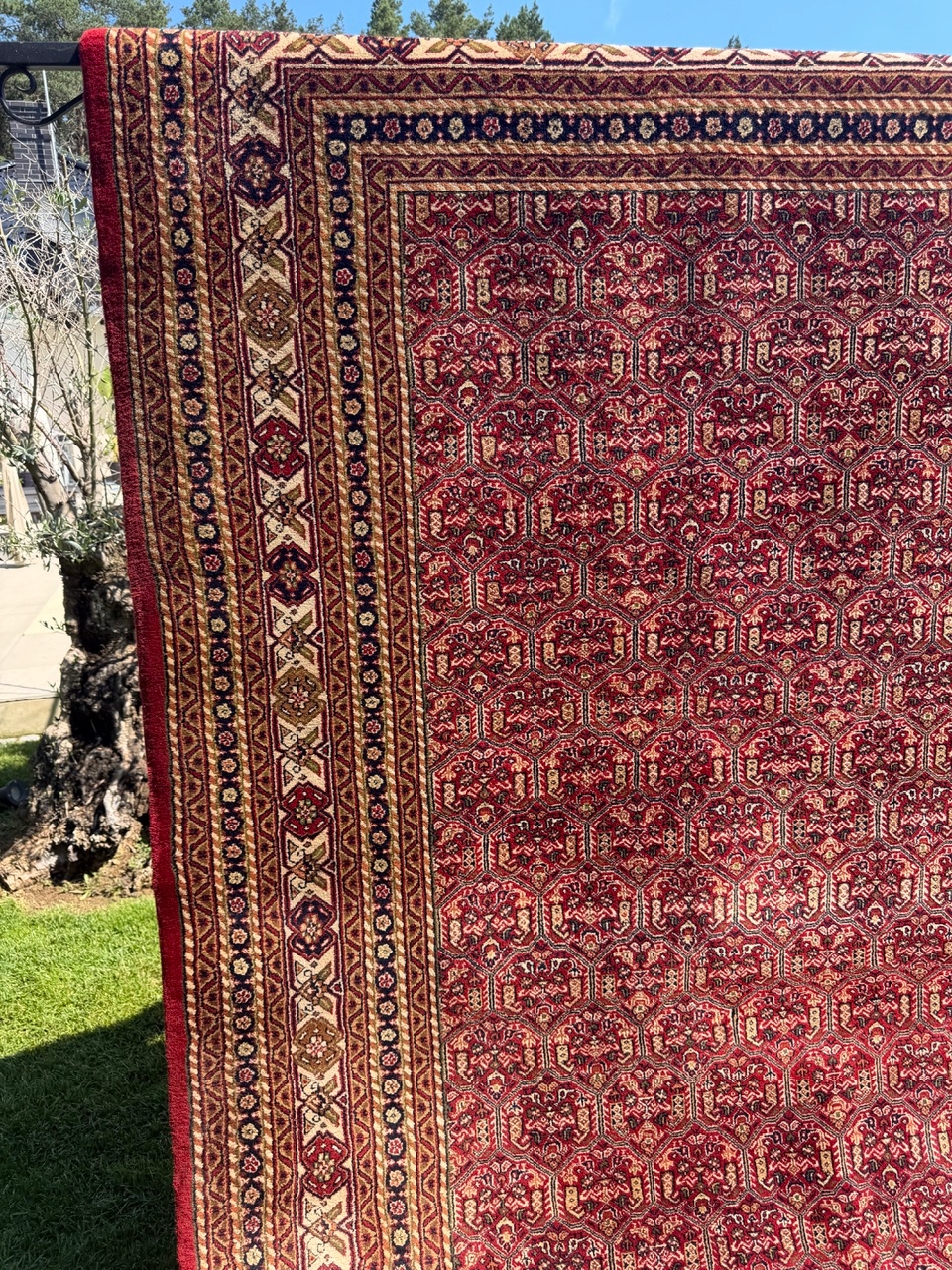 18686632460