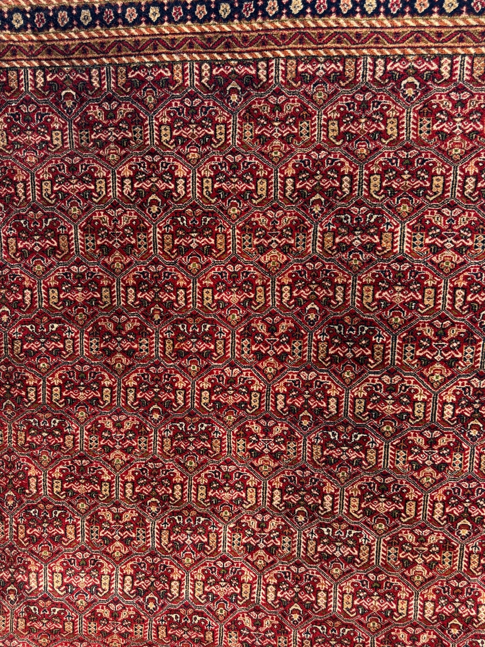 18686632460