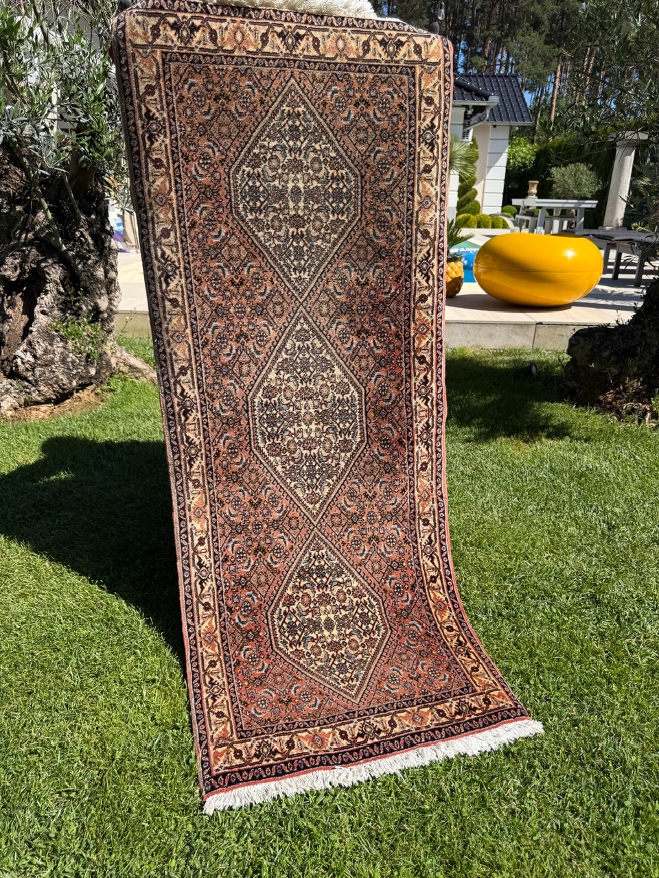 18748336366