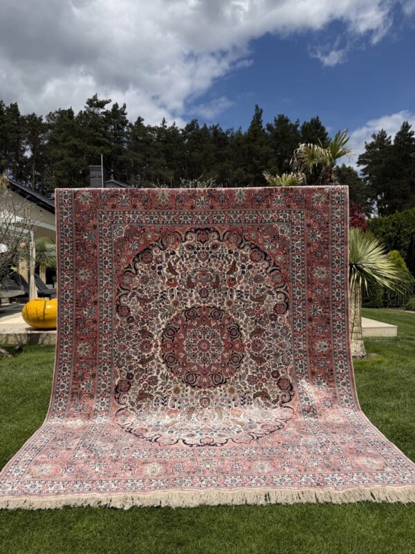 18810277194
